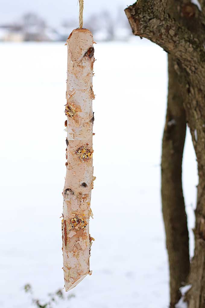 Rustic Log Bird Feeder DIY House Of Hawthornes