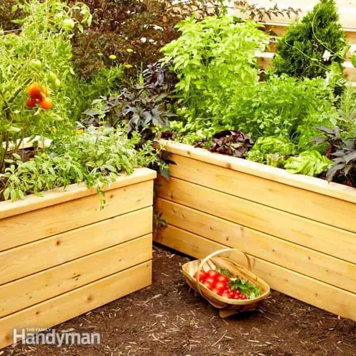 Save Your Back with a DIY Self-Watering Planter