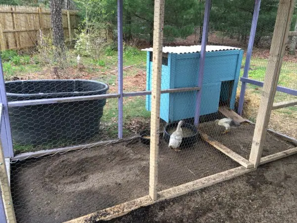 Simple Duck House Plans