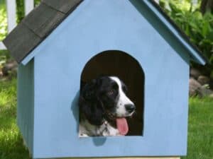 33 Creative DIY Dog House Designs You Can Build for Free