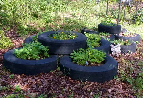  Tire Gardens