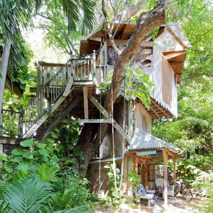 Treehouse Canopy Room