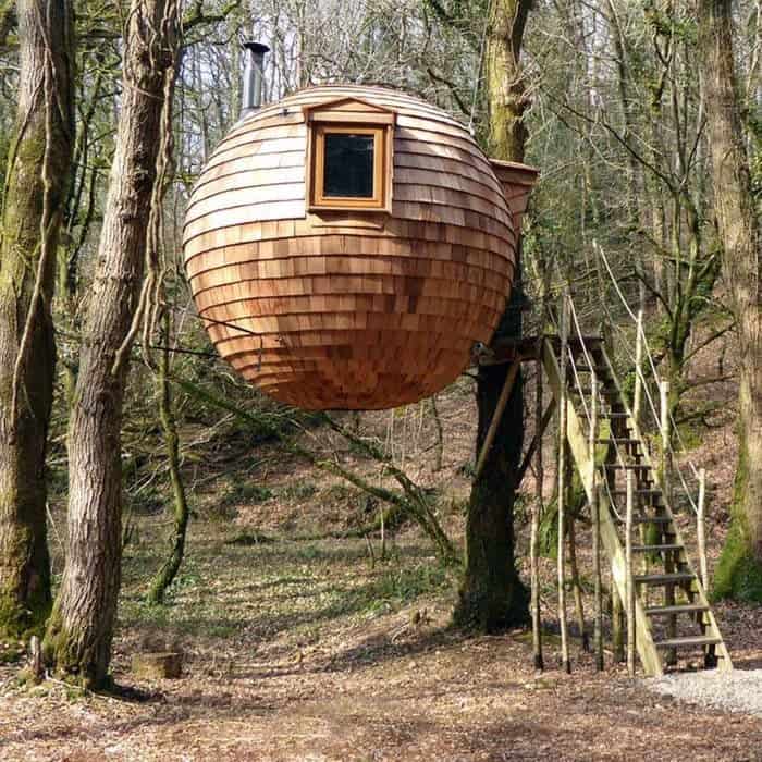 Treepod