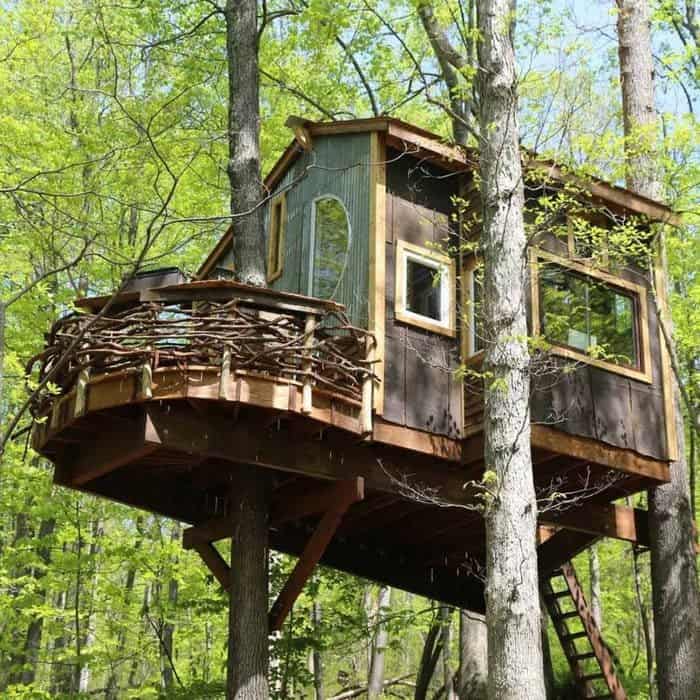 Trillium Treehouse
