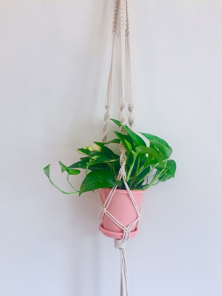 Picture of 31 DIY Macrame Plant Hangers Ideas & Plans