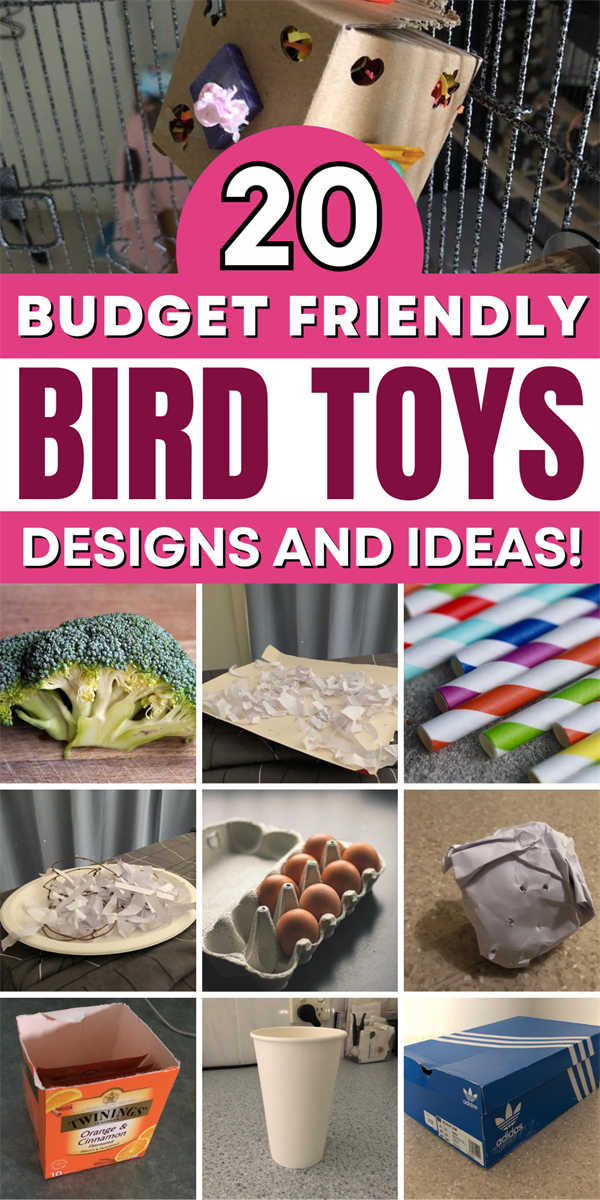 20 Creative DIY Bird Toy Ideas for Engaging Playtime