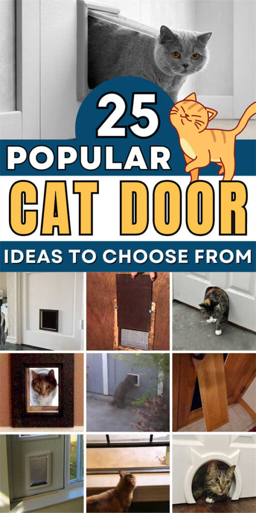 25 Clever DIY Cat Door Ideas for Easy Pet Access