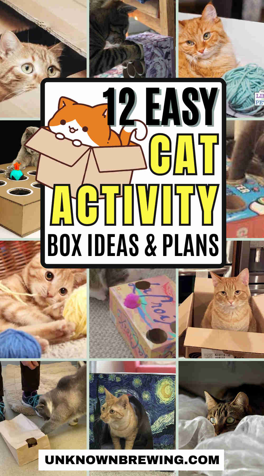 diy cat enrichment box