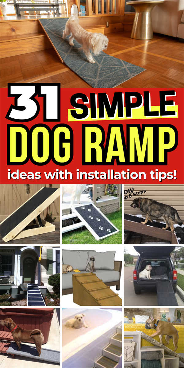 diy-dog-ramp