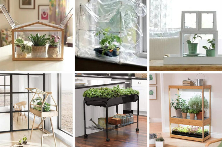 35 Innovative DIY Indoor Greenhouse Ideas for Growing Fresh Herbs