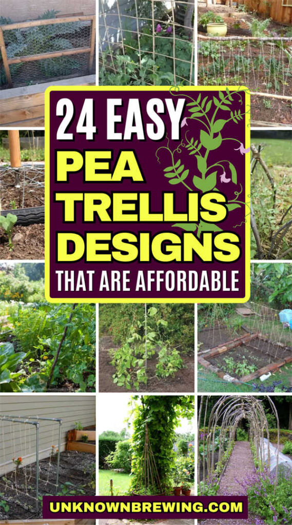24 DIY Pea Trellis Designs for Vertical Growing