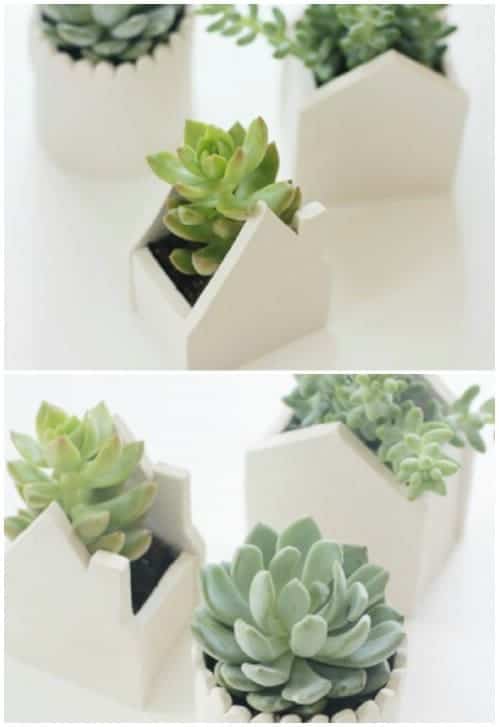 DIY Clay Pots
