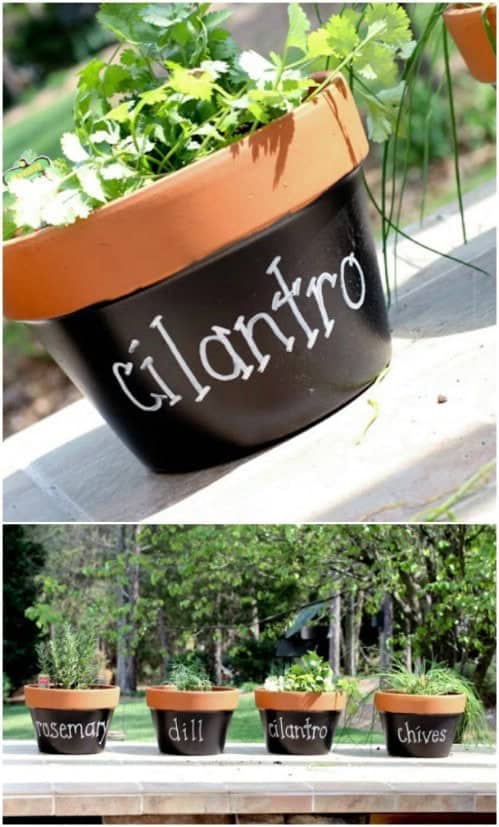 DIY Chalkboard Planters