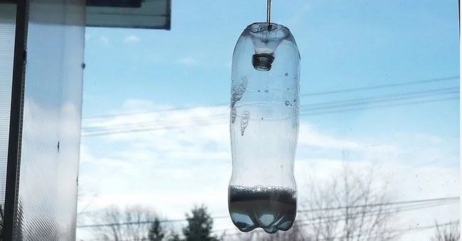 How To Make A Wasp Trap