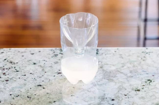 How to Make a DIY Wasp Trap