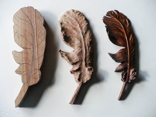 Highly Detailed Feather