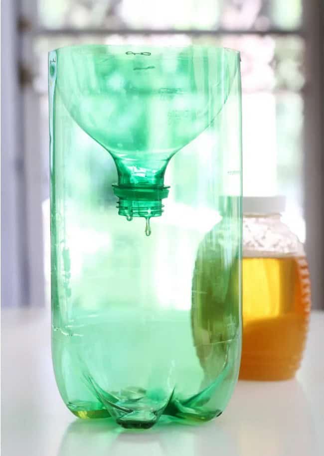 How To Make A Wasp Trap From A Soda Bottle