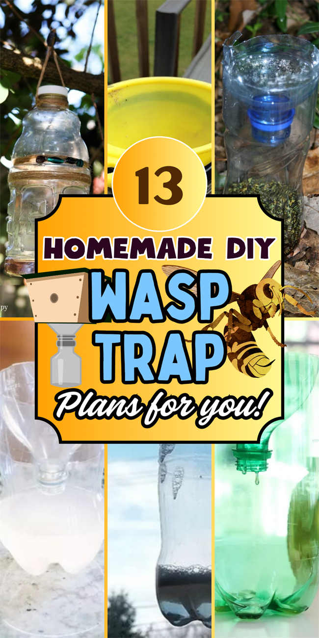 diy-wasp-trap