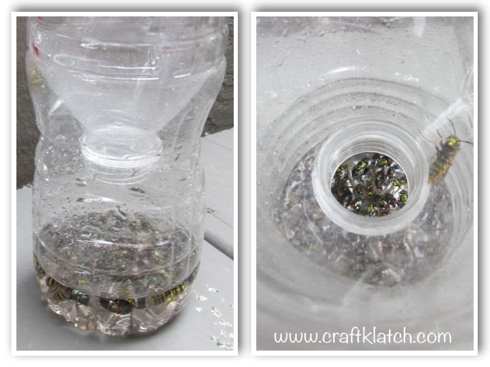 How to Make an Easy Wasp Trap