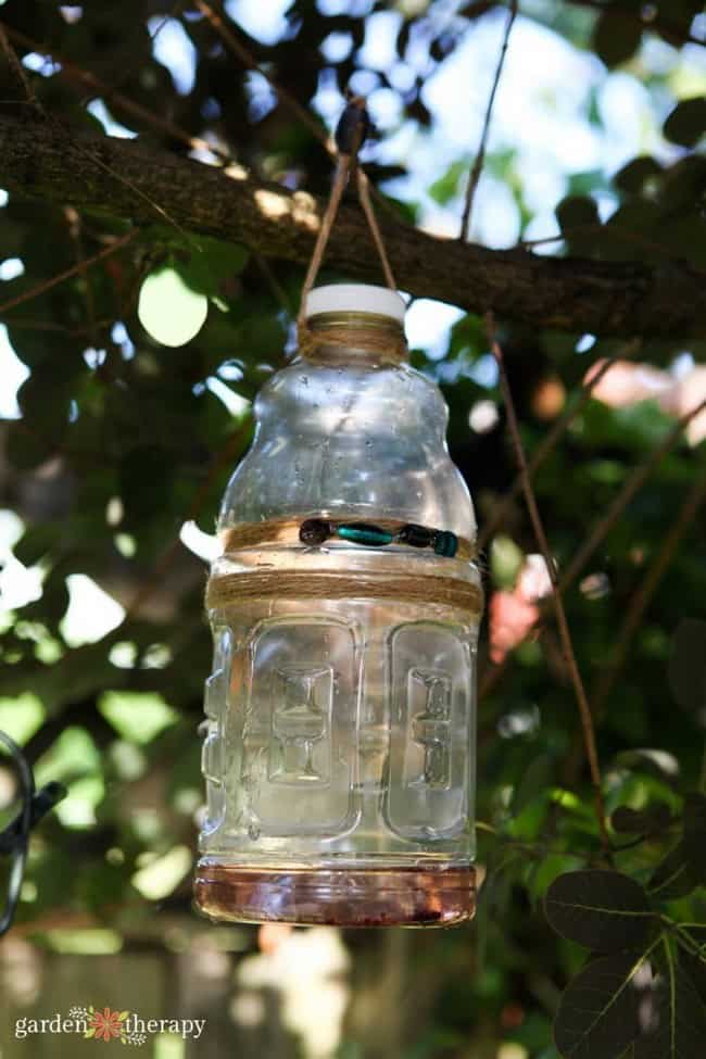 Super Simple DIY Wasp Trap