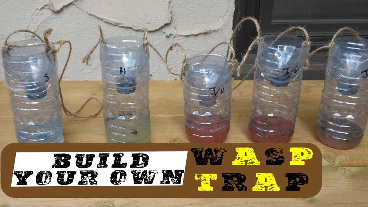 DIY Wasp Trap