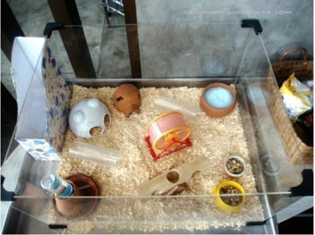 Picture of 22 DIY Hamster Cage Ideas for a Comfortable and Fun Habitat