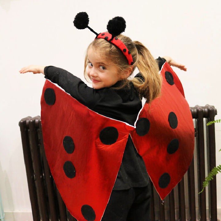 DIY Ladybug Costume For Kids