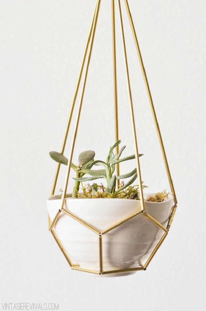 Leather and Brass Teardrop Hanging Succulent