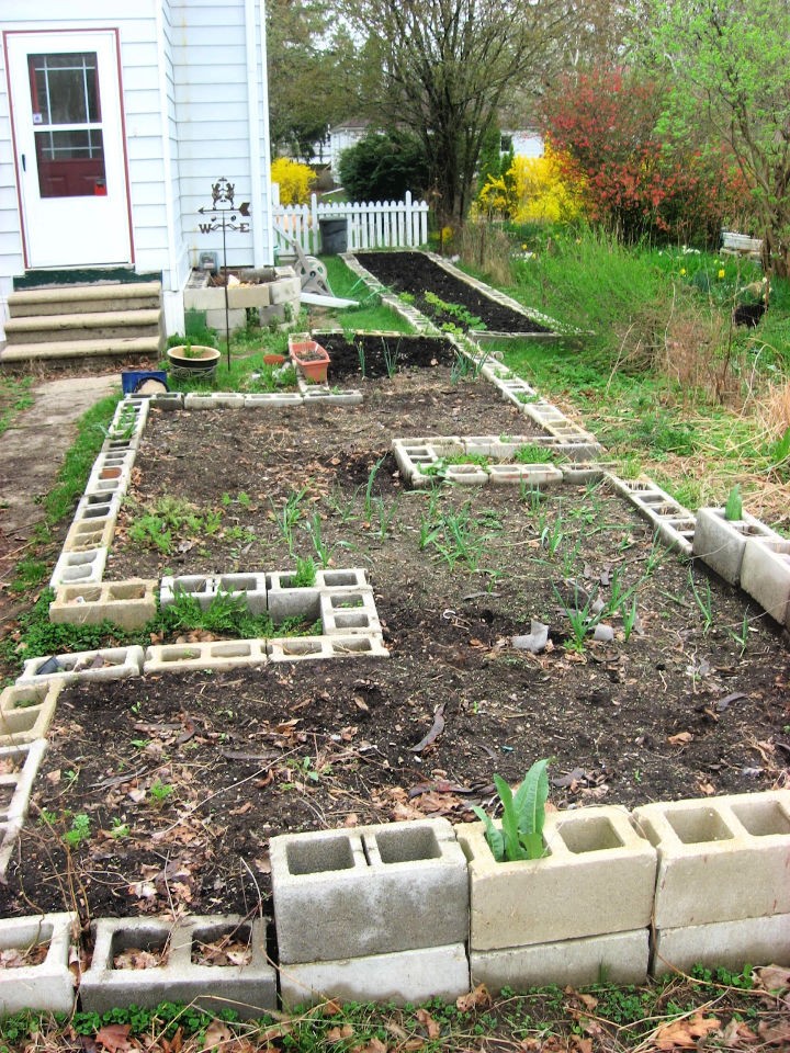 Build a Concrete Block Raised Bed