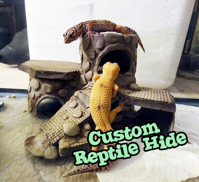 30+ DIY Snake Hide Ideas for Comfortable and Secure Habitats