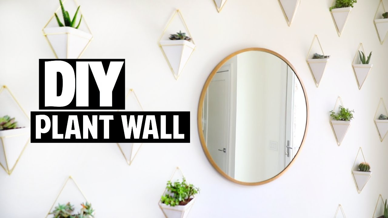 DIY Succulent Plant Wall