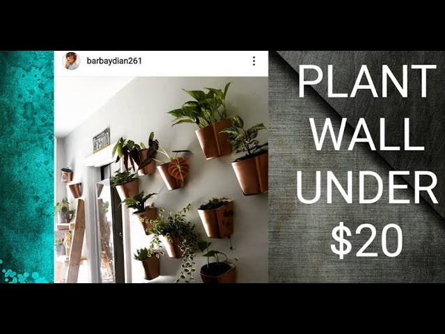 DIY Plant Wall Under $20