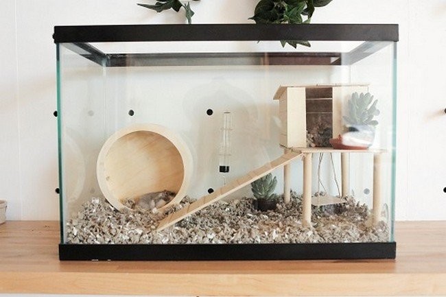Illustration of Innovative Hamster Cage Designs