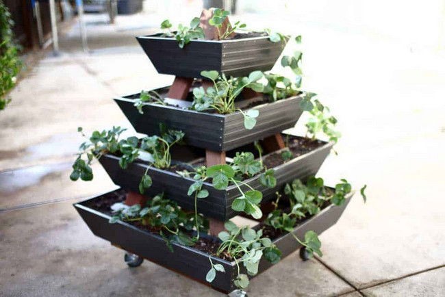 The DIY Plan Gutter Planter (Pyramid)