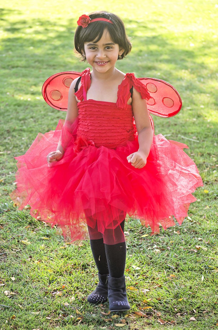 DIY Ladybug Halloween Costume