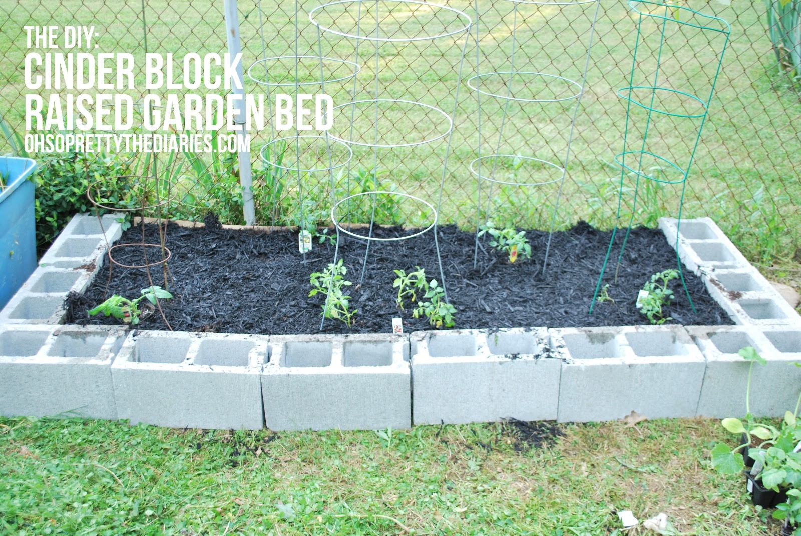 Homemade Cinder Block Raised Bed