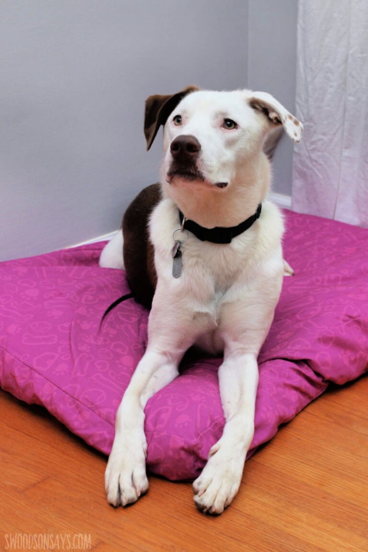 Beginner-Friendly DIY Dog Bed With Sides