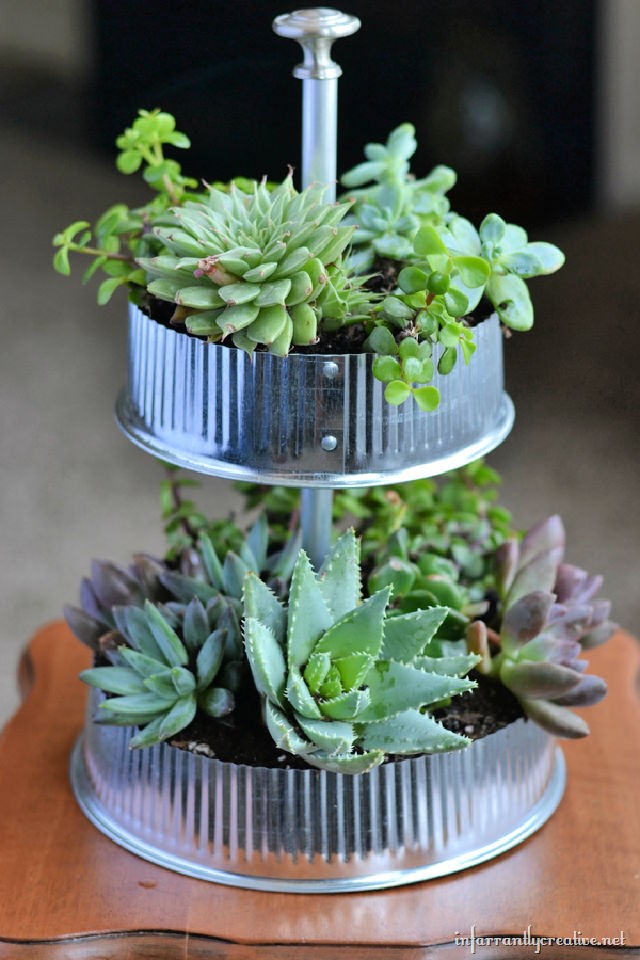 Galvanized and Tiered Vent Cap Succulent