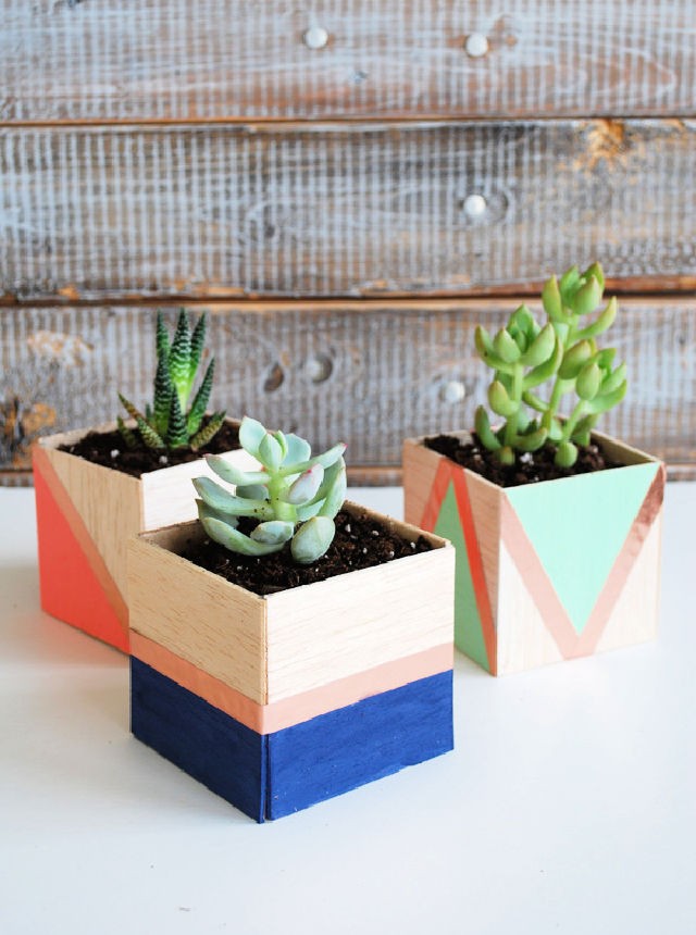 Homemade Balsa Wood Succulent Planters