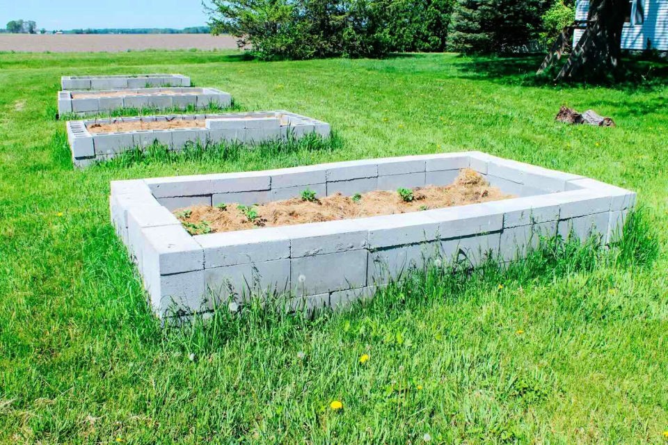 DIY Cinder Block Raised Garden Bed