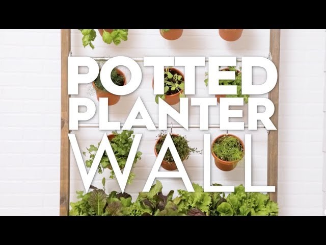 DIY Wall Planter