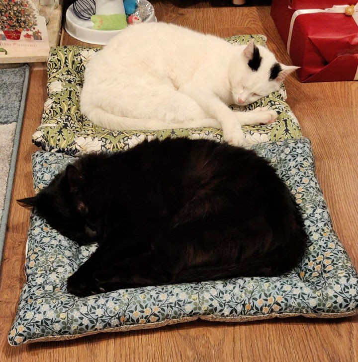 Affordable DIY Small Dog Bed