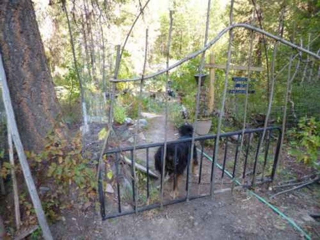 Rustic Twig Gate