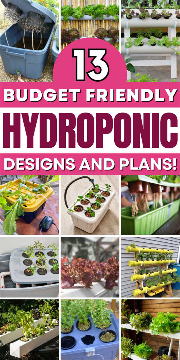13 DIY Hydroponic System Ideas for Home Gardening