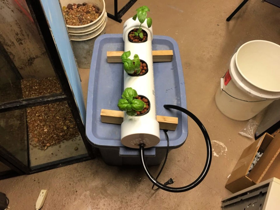 13 DIY Hydroponic System Ideas for Home Gardening