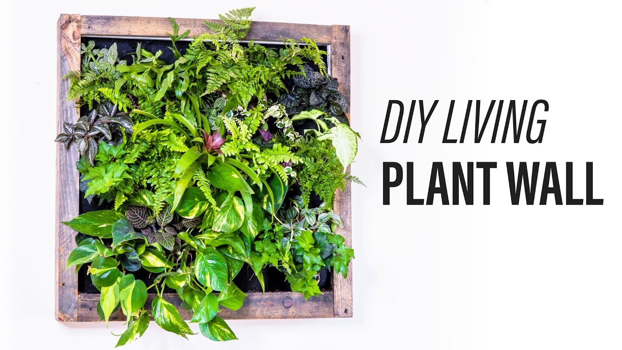 How To Make A Living Plant Wall