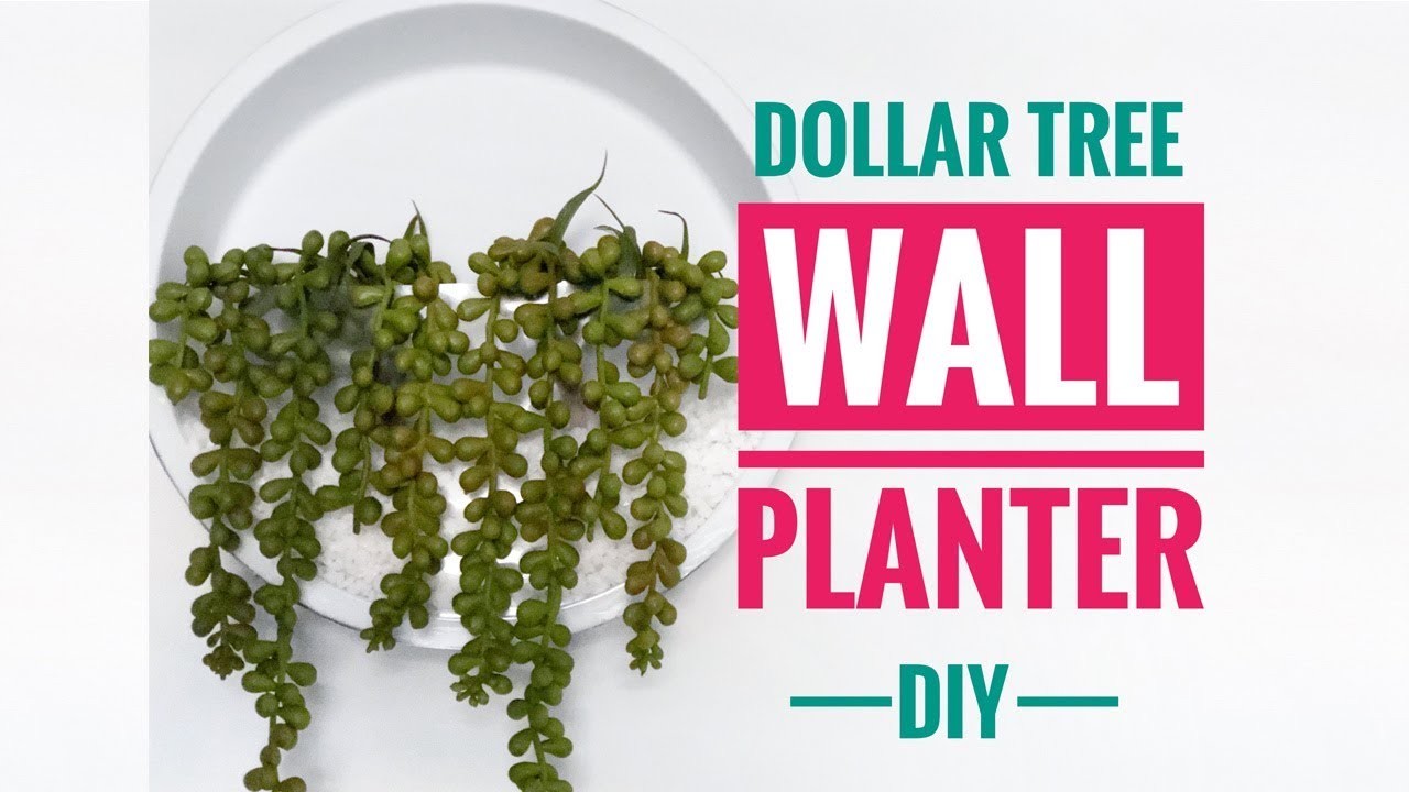 DIY Dollar Tree Wall Planter