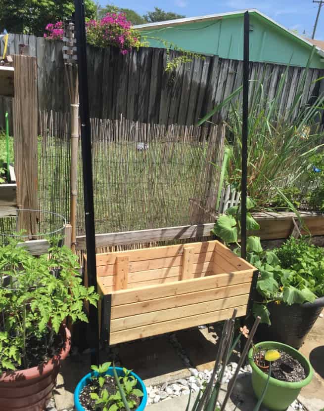 Add Trellis Wire and Final Touches