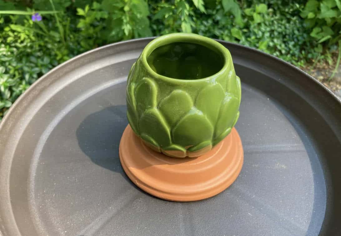 Add a Perch for the Birds