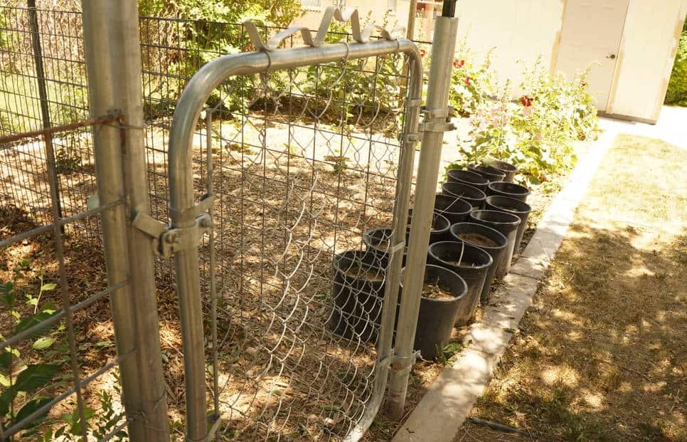 Add the Gate